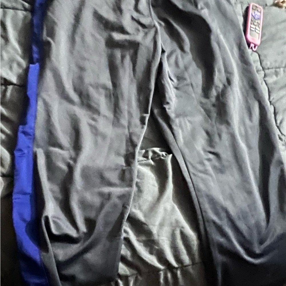 Gray and Blue Track Pants